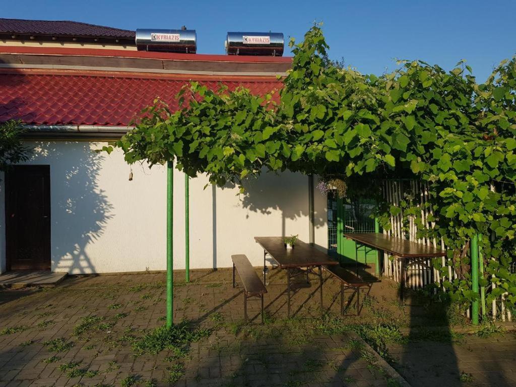 Vila Orizont Venus Ngoại thất bức ảnh
