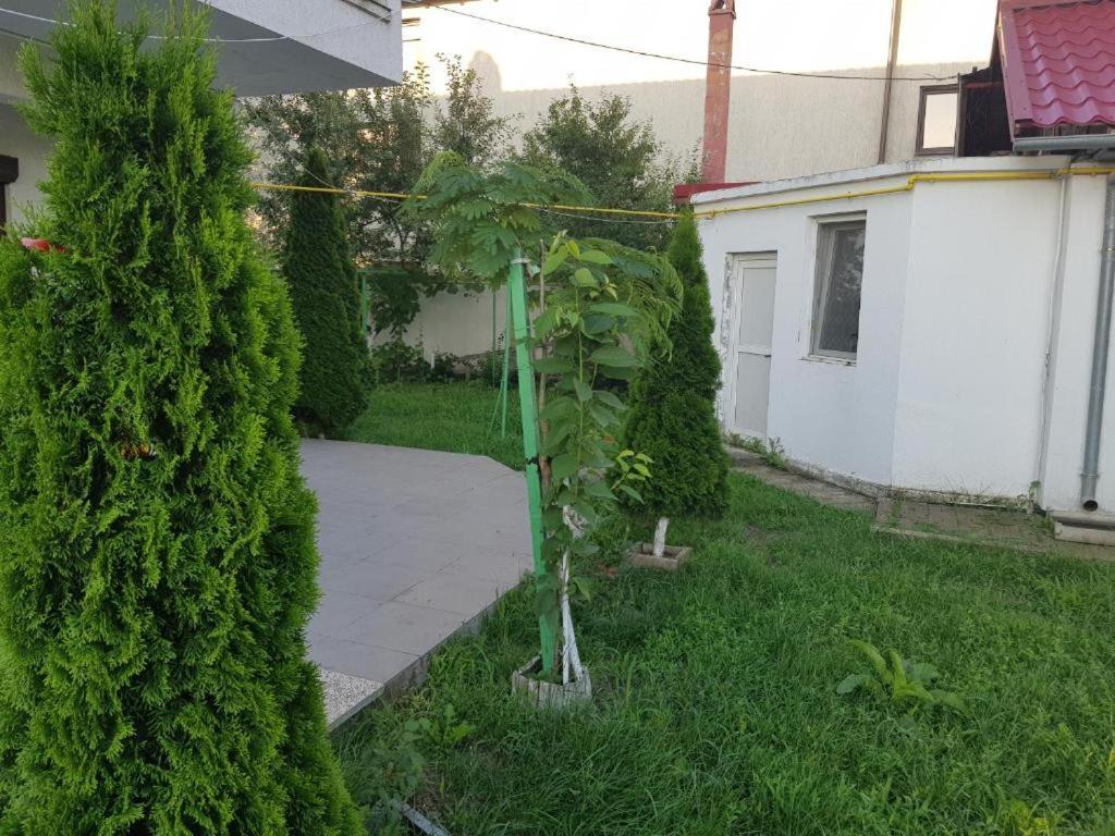 Vila Orizont Venus Ngoại thất bức ảnh
